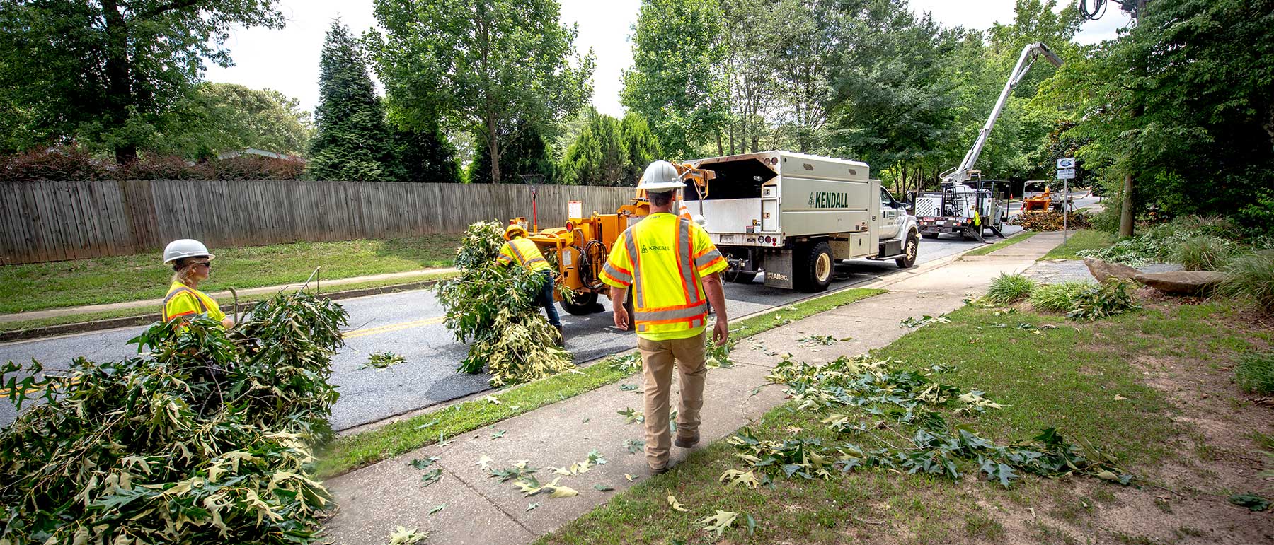 Utility vegetation management crew inspecting trees along an electrical transmission corridor
